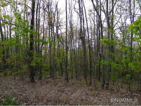 Property image 5 at Lot 124 Horse Pasture Ridge, Lake Lure, NC 28746