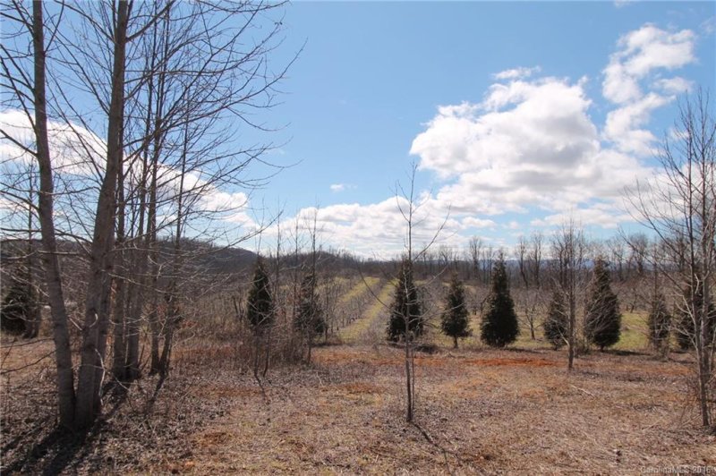 Property image 3 at Lot 6 7 Eagles Eye Drive, Hendersonville, NC 28792