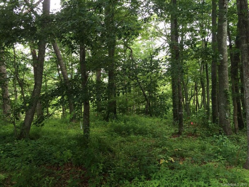 Property image 4 at 65 Lake Vista Dr, Fletcher, NC 28732