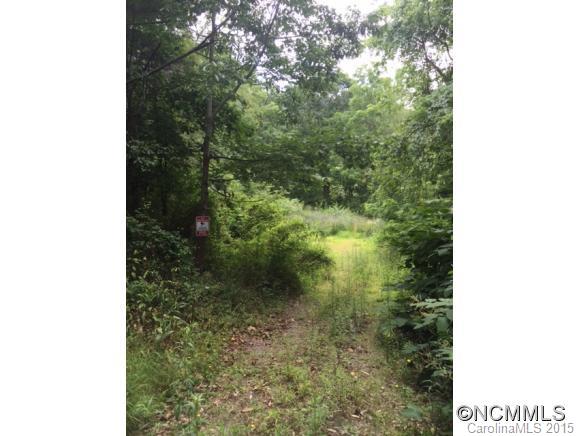 Property image 2 at 51 Lower Barton Road, Asheville, NC 28804