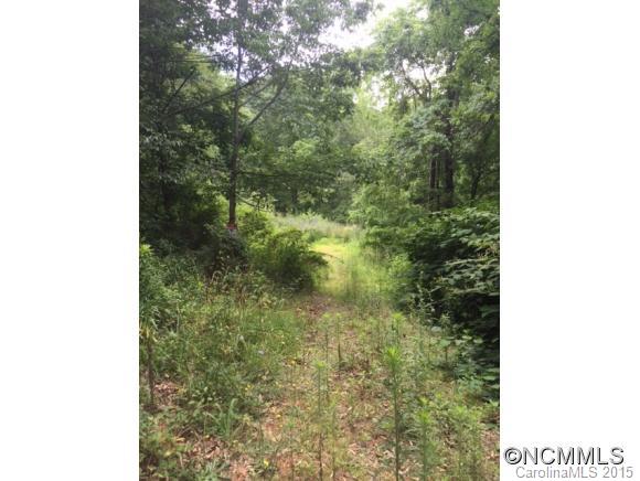 Property image 3 at 51 Lower Barton Road, Asheville, NC 28804