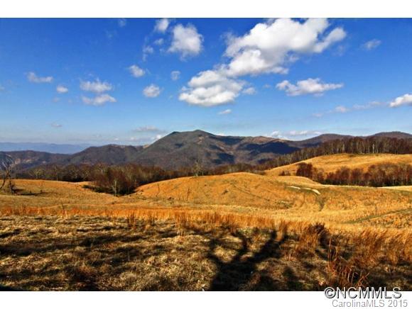 Property image 2 at 99999 Sunset Falls Drive, Clyde, NC 28721