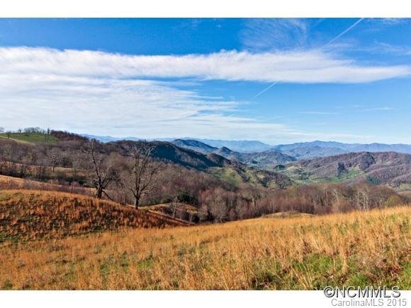 Property image 3 at 99999 Sunset Falls Drive, Clyde, NC 28721