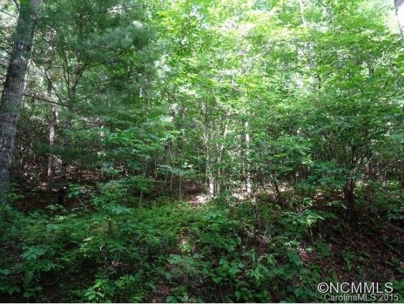 Property image 2 at 0 Deer Meadow Lane, Hendersonville, NC 28739