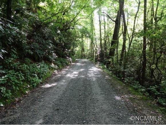 Property image 3 at 0 Deer Meadow Lane, Hendersonville, NC 28739