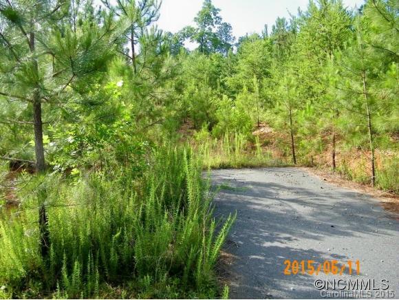 Property image 2 at Lot 28 High Meadows Lane, Rutherfordton, NC 28139