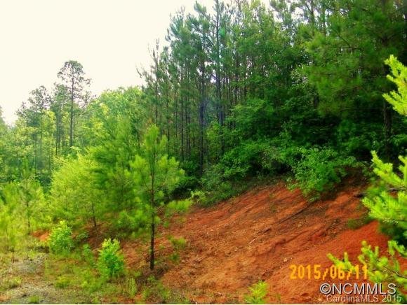 Property image 3 at Lot 28 High Meadows Lane, Rutherfordton, NC 28139