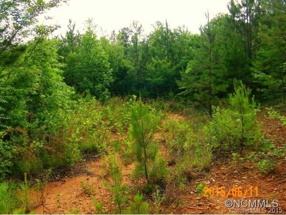 Property image 4 at Lot 28 High Meadows Lane, Rutherfordton, NC 28139
