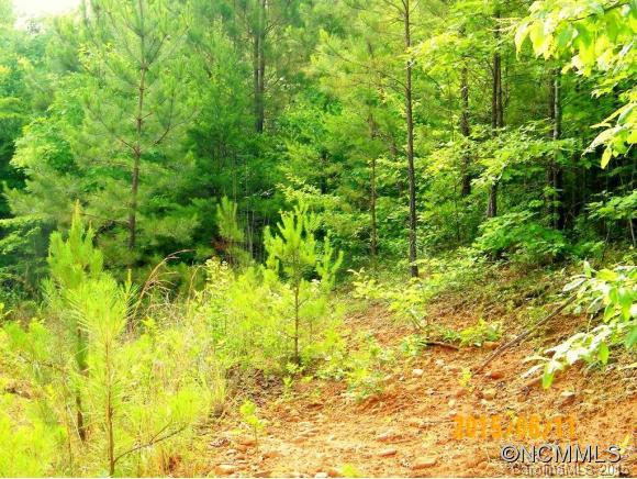 Property image 5 at Lot 28 High Meadows Lane, Rutherfordton, NC 28139