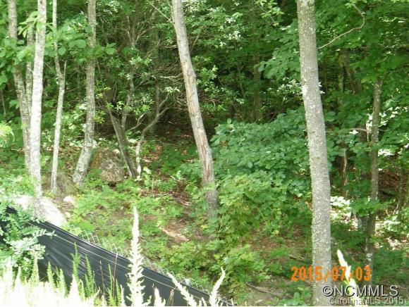 Property image 5 at Lot 241 Glenn Ridge Trail, Lake Lure, NC 28746