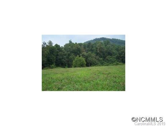 Property image 2 at 6 Split Pine Estates, Clyde, NC 28721