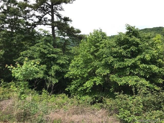 Property image 2 at 199 Catawba Falls, Old Fort, NC 28762