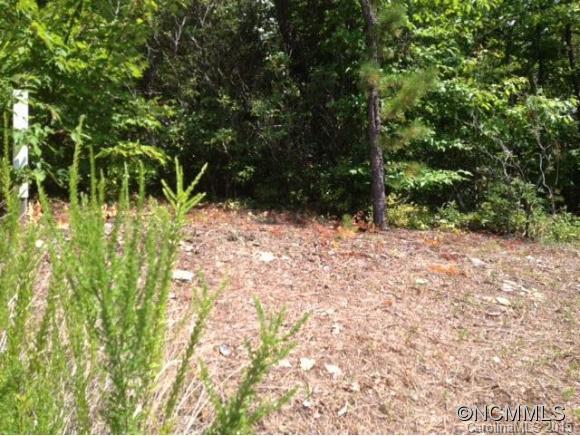 Property image 4 at 199 Catawba Falls, Old Fort, NC 28762