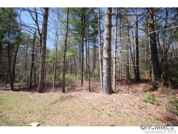 Property image 3 at Lot 9 Marshall Lake Road, Cedar Mountain, NC 28718