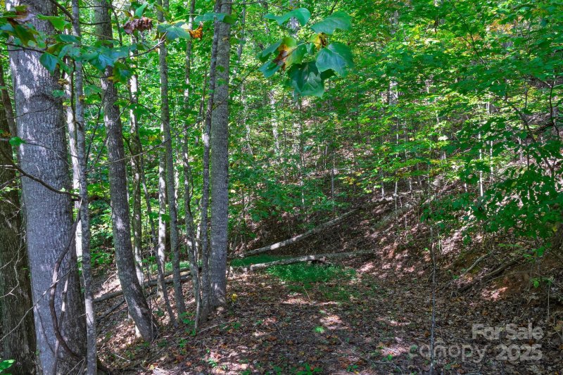 Property image 2 of Lot 45 47 Winding Way in Mill Creek, Franklin, NC 28734