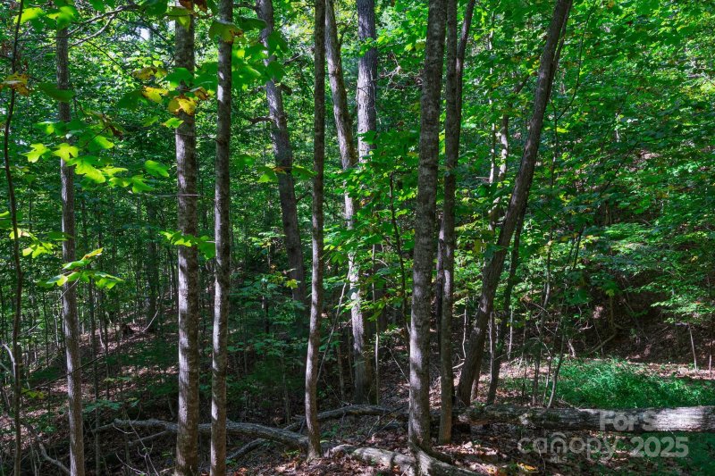 Property image 3 of Lot 45 47 Winding Way in Mill Creek, Franklin, NC 28734