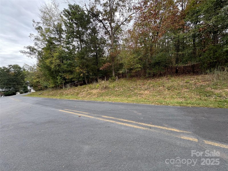 Property image 3 of 000 Berry Hill Drive in Tillery Beach, Norwood, NC 28128