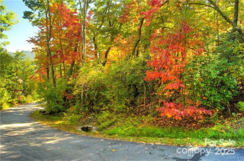 Property image 2 of 144 Galax Drive in Creston, Black Mountain, NC 28711