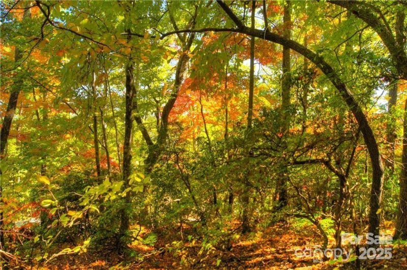 Property image 3 of 144 Galax Drive in Creston, Black Mountain, NC 28711