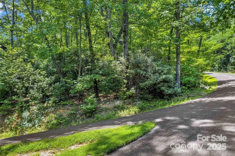 Property image 4 of 144 Galax Drive in Creston, Black Mountain, NC 28711
