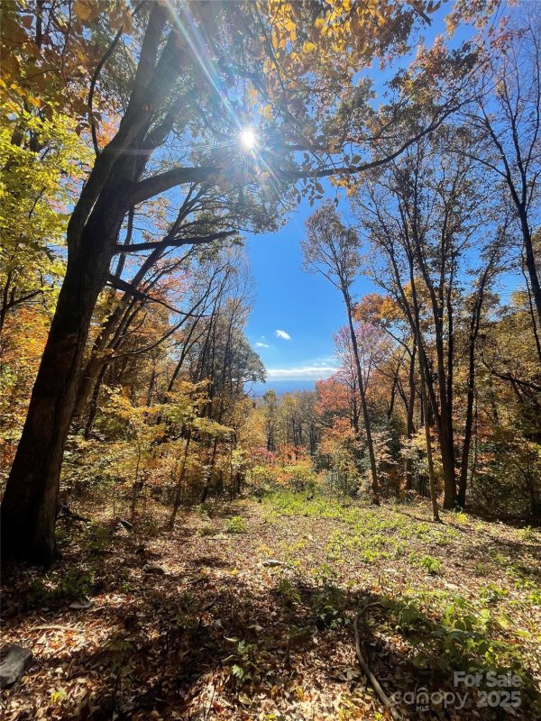 Property image 2 of 00000 New Sprout Lane in Sprout, Hendersonville, NC 28792
