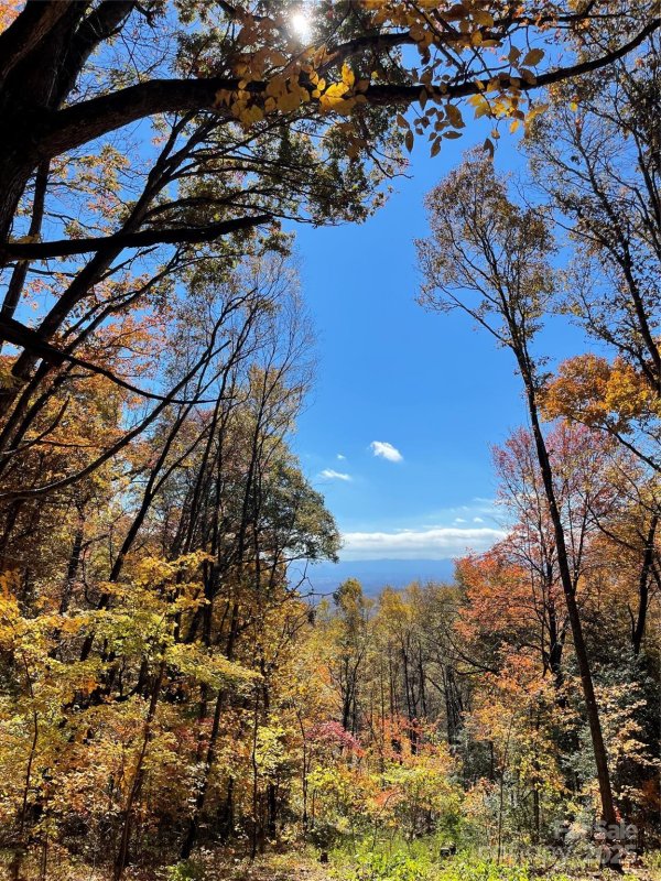 Property image 3 of 00000 New Sprout Lane in Sprout, Hendersonville, NC 28792