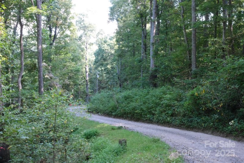 Property image 2 of Lot 12 Caperton Point Road in LAUREL ACRES, Swannanoa, NC 28778