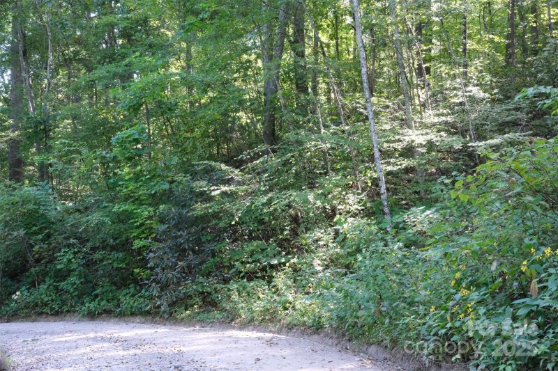 Property image 4 of Lot 12 Caperton Point Road in LAUREL ACRES, Swannanoa, NC 28778