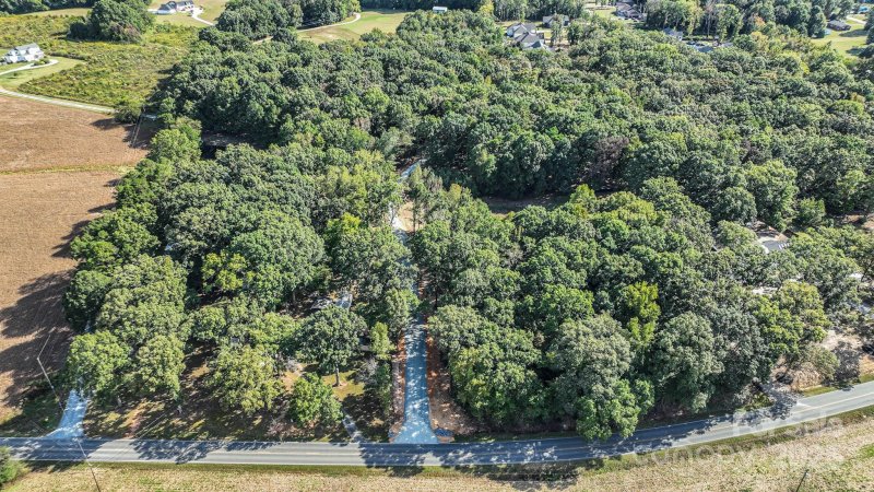 Alexander Woods, Monroe community