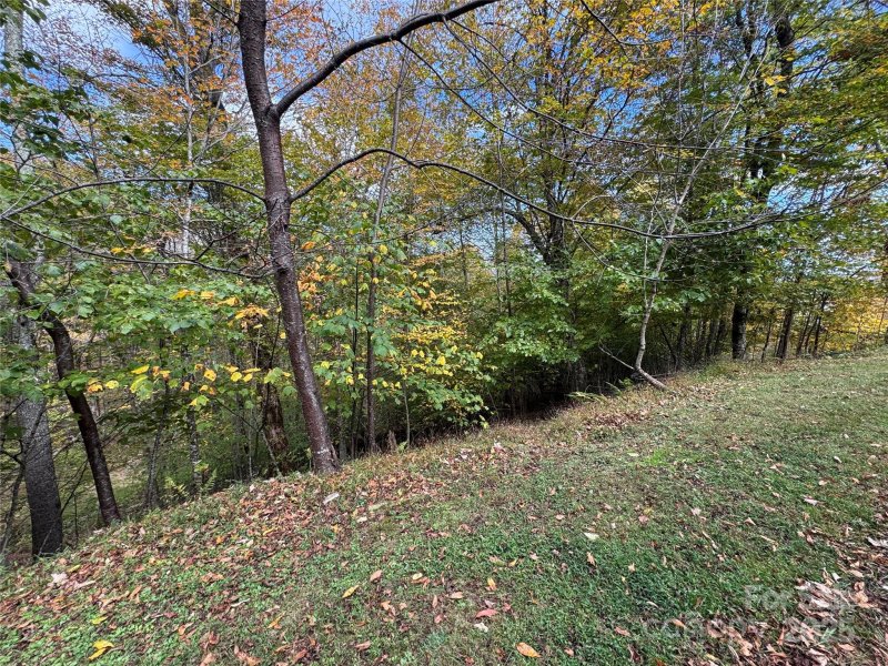 Property image 4 of 92 Goldenleaf Drive in Wolf Laurel, Mars Hill, NC 28754