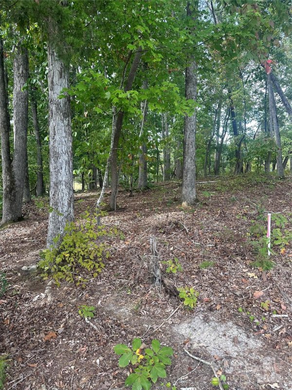 Property image 4 of Lot 92 Tidewater Court in Edgewater, Norwood, NC 28128
