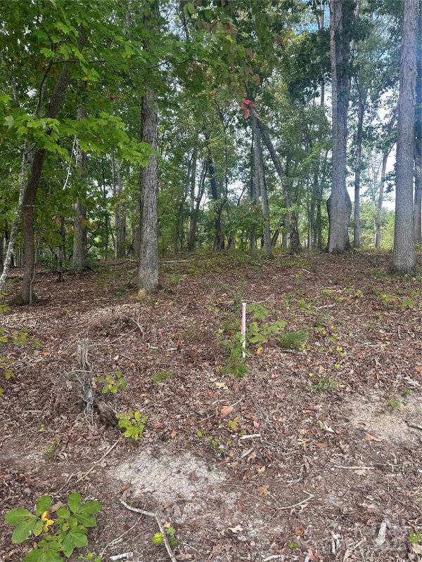 Property image 5 of Lot 92 Tidewater Court in Edgewater, Norwood, NC 28128