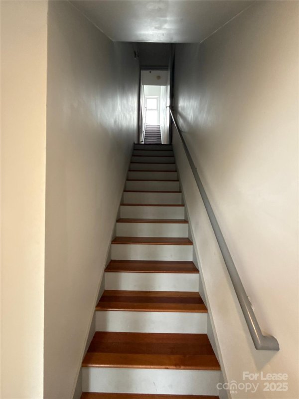 Property image 3 of 291 Mcdonald Avenue in Dilworth, Charlotte, NC 28203