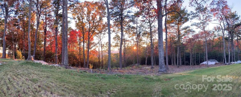 0 Mountain Grove Lane