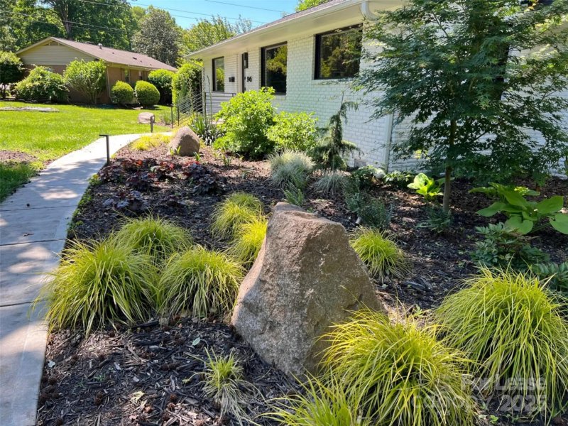 Greenbriar Woods, Charlotte Community