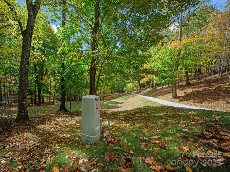 Property image 5 of 42 Hickory Springs Road in The Cove at Celo Mountain, Burnsville, NC 28714