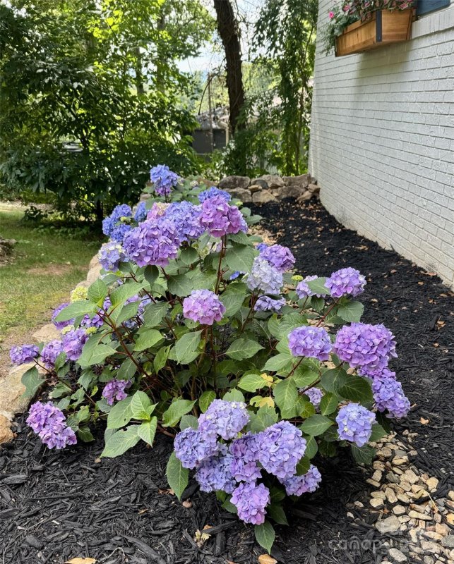 Property image 2 of 36 Clement Drive in Rolling Green, Asheville, NC 28805