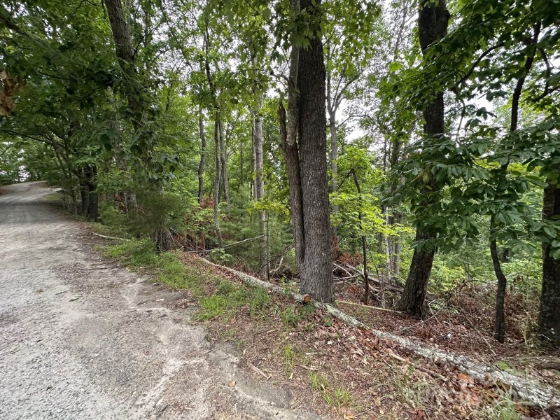Property image 3 of 0 Buzzards Place in Riverbend at Lake Lure, Lake Lure, NC 28746