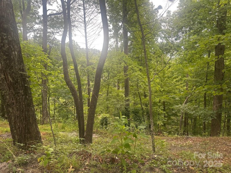 Property image 4 of 0 Buzzards Place in Riverbend at Lake Lure, Lake Lure, NC 28746