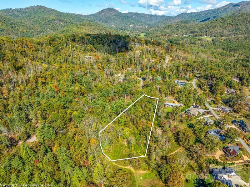 Property image 2 of 18 Towering Oaks Lane in Sovereign Oaks, Asheville, NC 28805