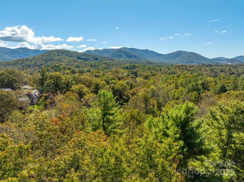 Property image 5 of 18 Towering Oaks Lane in Sovereign Oaks, Asheville, NC 28805