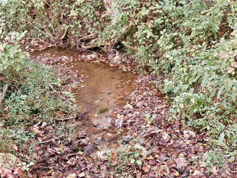 Property image 2 of 649 Fire Tower Road in Fork Mountain, Bostic, NC 28018