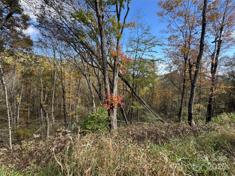 Property image 3 of 27 Trillium Lane in Wolf Laurel, Mars Hill, NC 28754