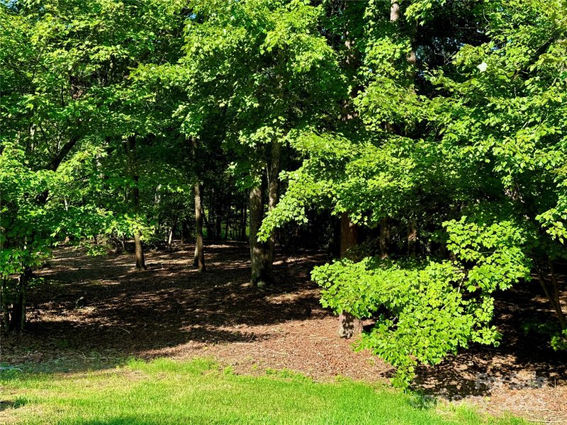 Property image 3 of 142 Long Cove in Uwharrie Point, New London, NC 28127