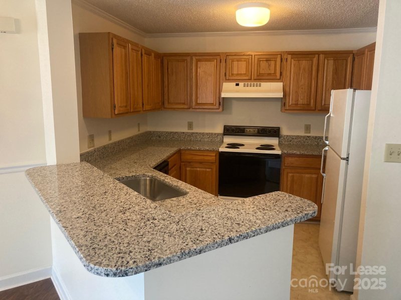 Property image 5 of 1044 Southwest Drive in Davidson Landing, Davidson, NC 28036