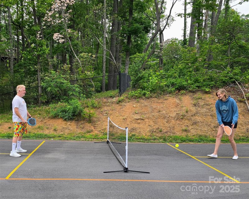 Property image 2 of 209 Fall Leaves Drive in Majestic Oaks of Fairview, Fairview, NC 28730