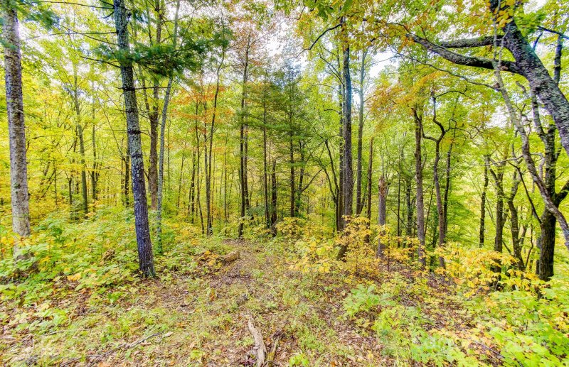 Property image 5 of 443 Glen Valley Drive in Seven Glens, Weaverville, NC 28787