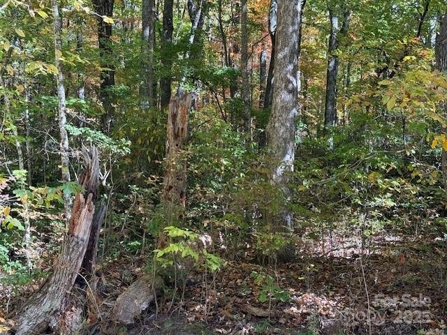 Property image 2 of 1530 Hickory Acres Road in Hickory Acres, Hendersonville, NC 28792