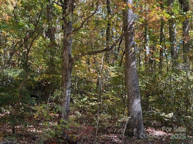 Property image 3 of 1530 Hickory Acres Road in Hickory Acres, Hendersonville, NC 28792