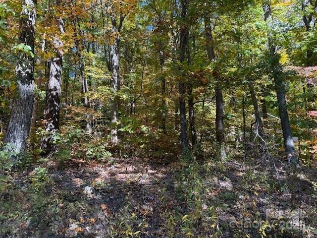 Property image 4 of 1530 Hickory Acres Road in Hickory Acres, Hendersonville, NC 28792